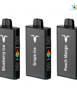 Ignite V250 25K Puffs Disposable Vape 50Mg Dubai